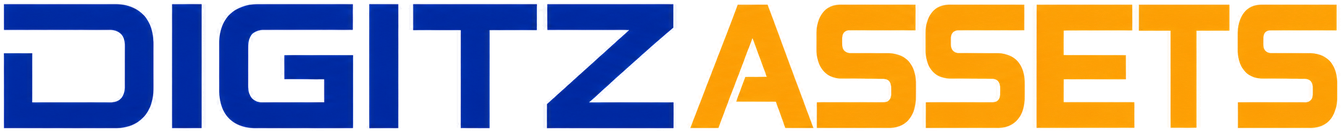 DIGITZ ASSETS ACCOUNTING